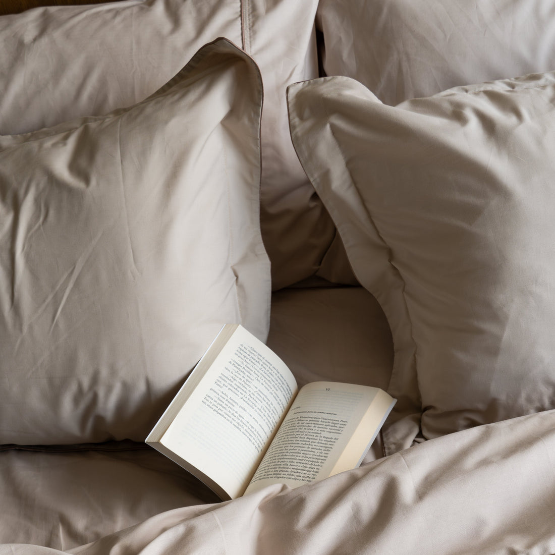 Set x2 fundas para almohada con pestaña 100% algodón 200 hilos color Amendoa