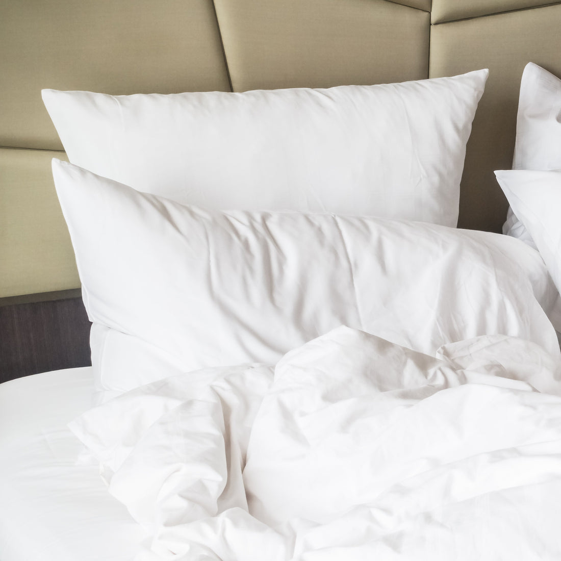 ImagebylifeforstockonFreepika