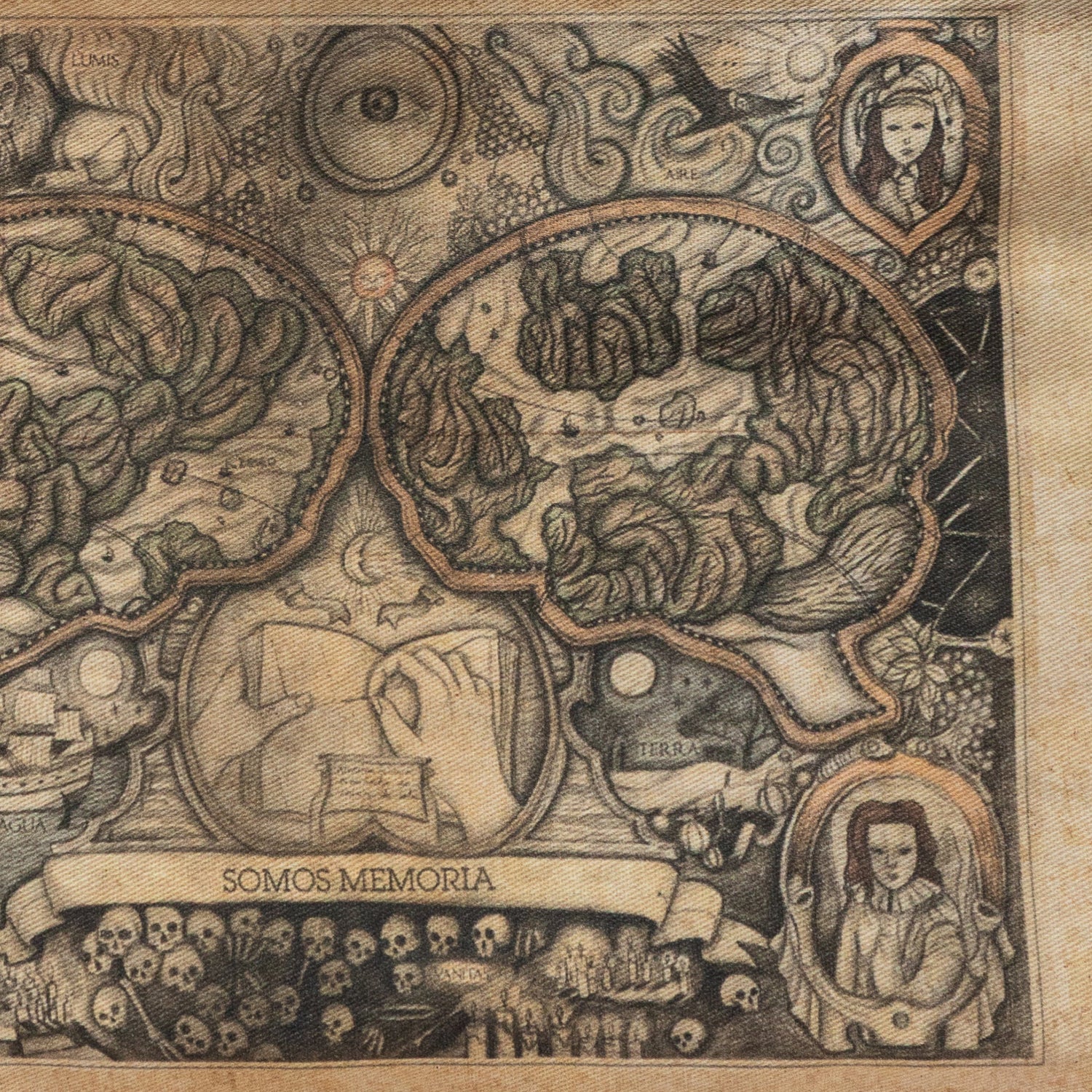 Portaútiles Ilustrado Mapa Cerebro By Leen