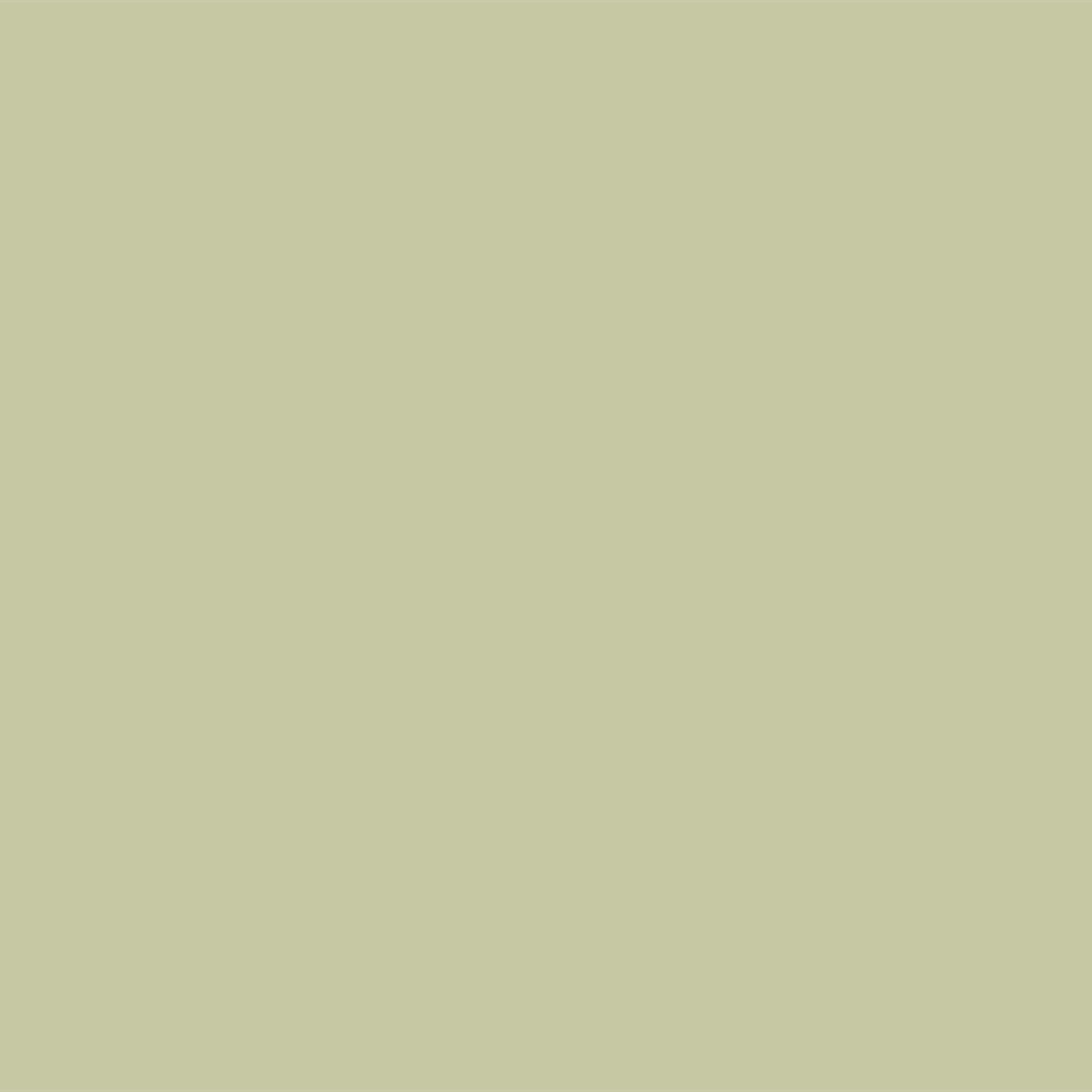 Lona Impermeable Waterblock Liso Verde Sage